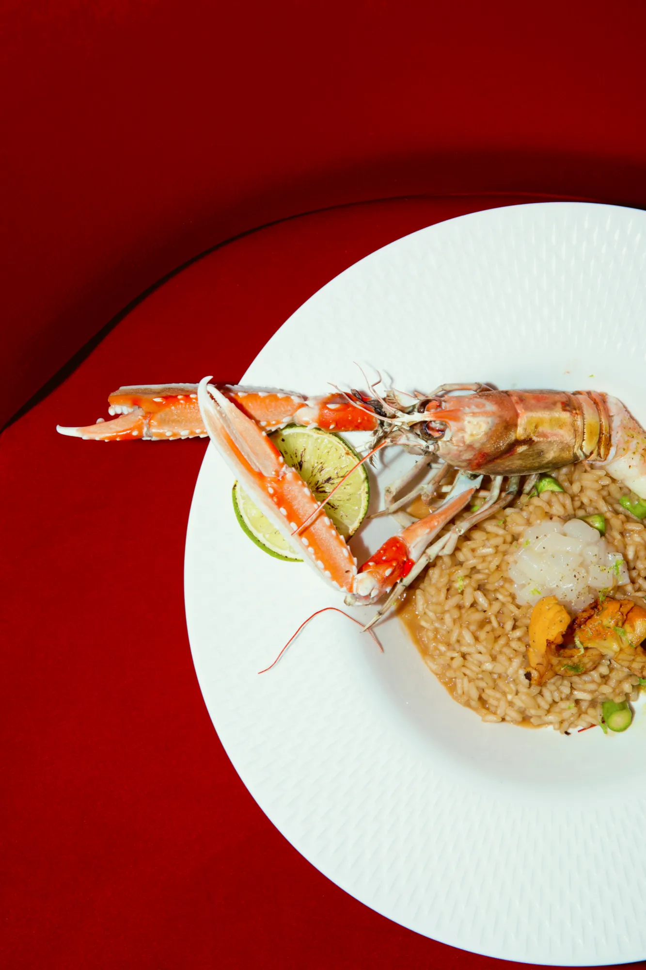 A langoustine laid across a plate of risotto with lime, against a red banquette